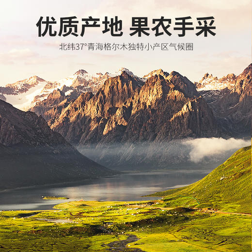 【冬季滋补】【杞里香280-380粒黑枸杞500g】  原生原色  花青素更丰富 商品图5