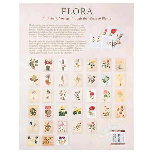 【中商原版】植物志 英文原版 Flora: An Artistic Voyage Through the World of Plants Natural History Museum 商品图1