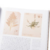 【中商原版】植物志 英文原版 Flora: An Artistic Voyage Through the World of Plants Natural History Museum 商品缩略图3