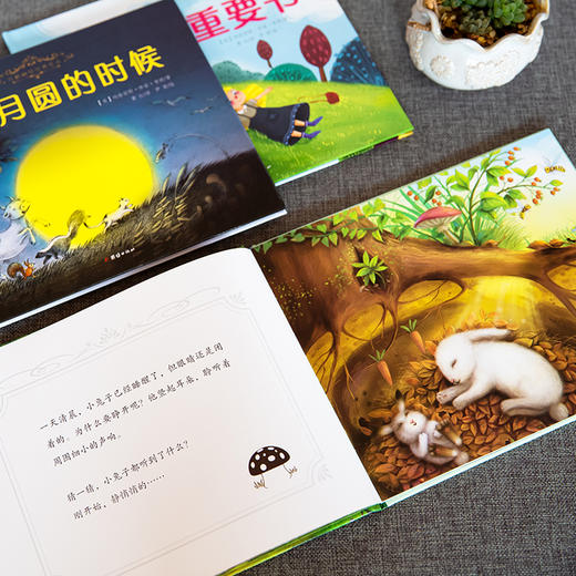 玛格丽特经典绘本（重要书+小兔听听听+等到月圆的时候）全三册 商品图5