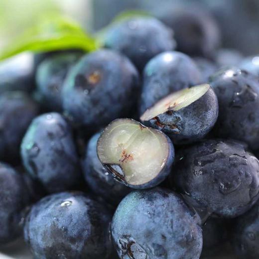 【顺丰空运】云南高原露天蓝莓，爽口多汁，营养丰富、富含花青素及维生素，水灵饱满，多汁清甜 商品图2