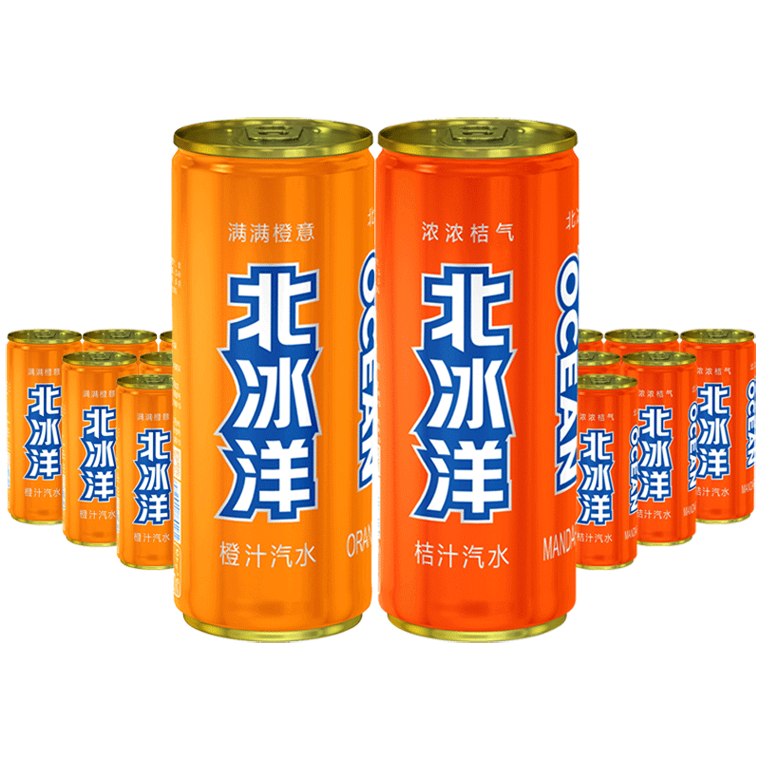 北冰洋 桔汁汽水310ml/罐