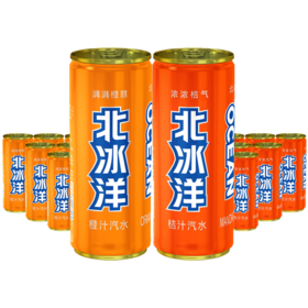 北冰洋 桔汁汽水310ml/罐