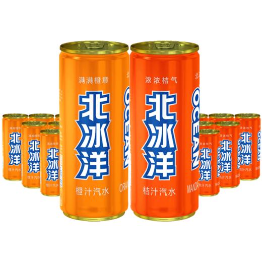 北冰洋 桔汁汽水310ml/罐 商品图0