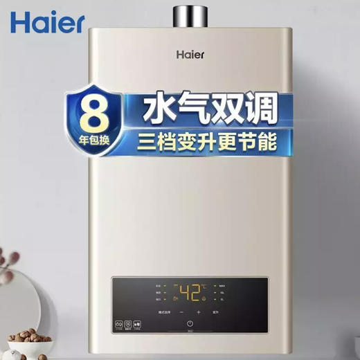 海尔（Haier）热水器JSQ25-13WGS(12T) 商品图0