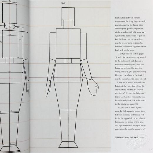 【中商原版】人体解剖基础 英文原版 Basic Human Anatomy Roberto Osti 商品图6