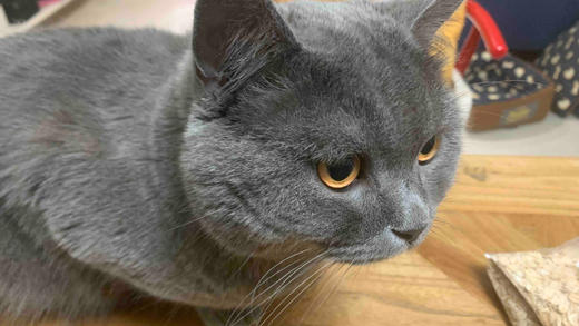 测试商品 商品图4