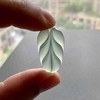 高冰种淡晴水翡翠叶子 商品缩略图8