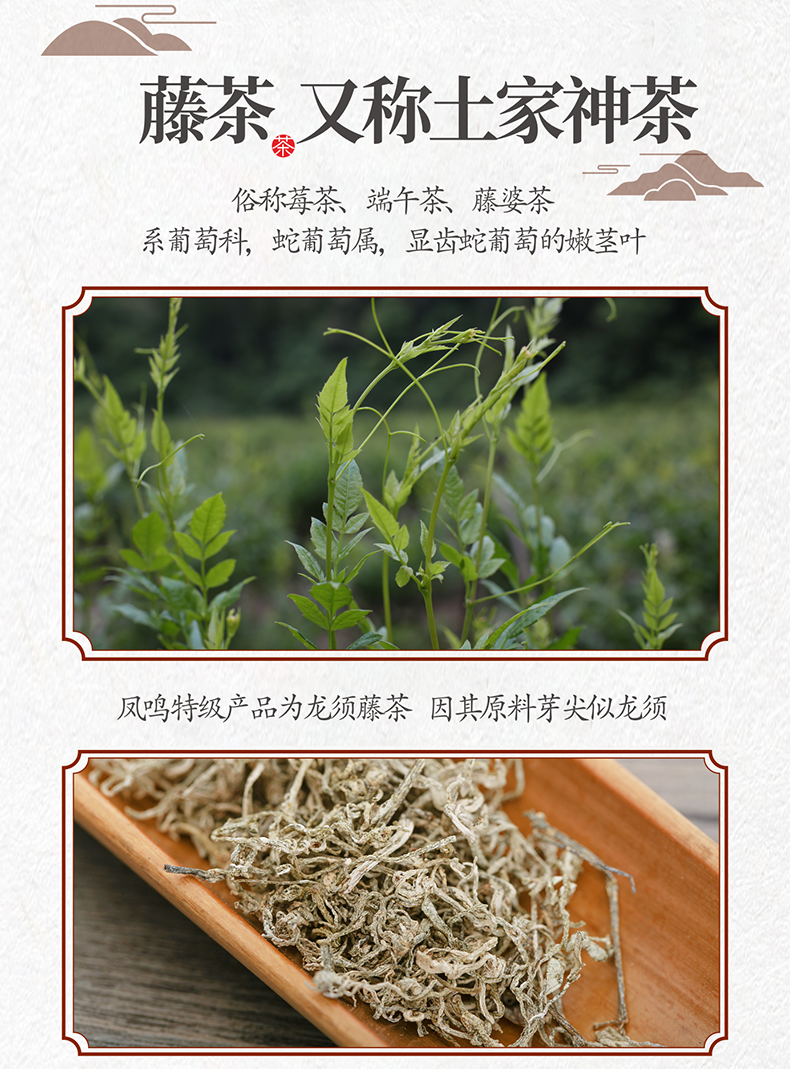 龙须藤茶 恩施来凤特级野生茶莓茶叶 创始人纪念版50g/盒