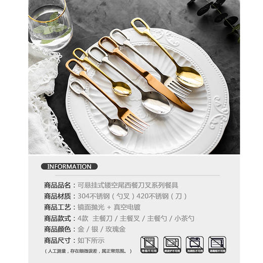 知力行挂孔餐具Z-005/银色勺 商品图3