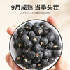 【冬季滋补】【杞里香280-380粒黑枸杞500g】  原生原色  花青素更丰富 商品缩略图3