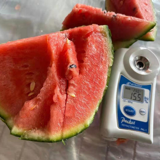 山东吊藤手撕西瓜、皮薄肉脆、水分多、果皮薄脆，可以用手直接撕着吃、果肉酥脆爆汁、脆甜爽口、糖度13+远超其他品种 商品图3
