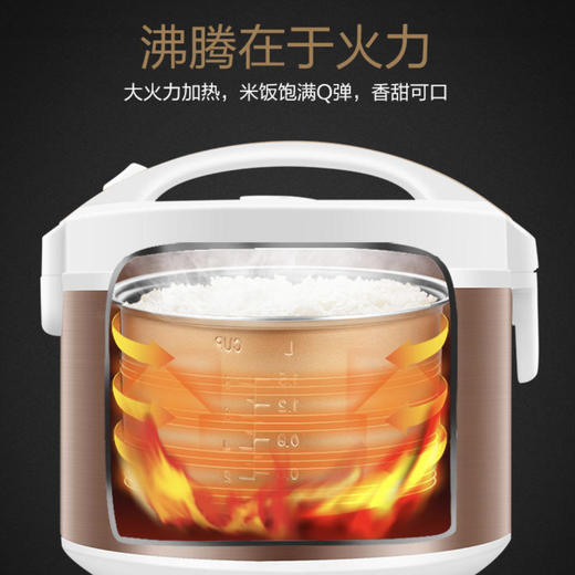 海尔（Haier）电饭煲HRC-YJ3036G 商品图5