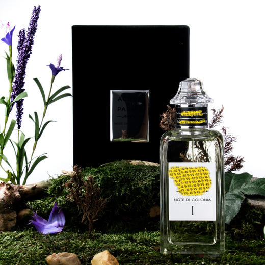 ADP  克罗尼亚之音符 I Note di Colonia I  分装 商品图2