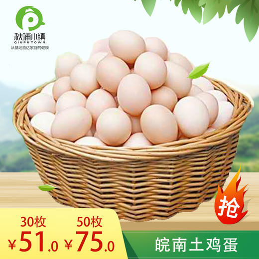 皖南土鸡蛋，让每一个家庭吃上真正天然营养的好鸡蛋 商品图0