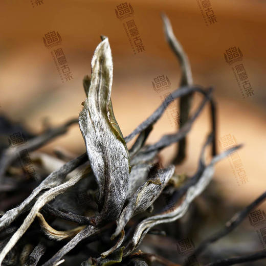 凰馨古茶【521国际茶日】纪念饼2021年头春普洱生茶200g 商品图4