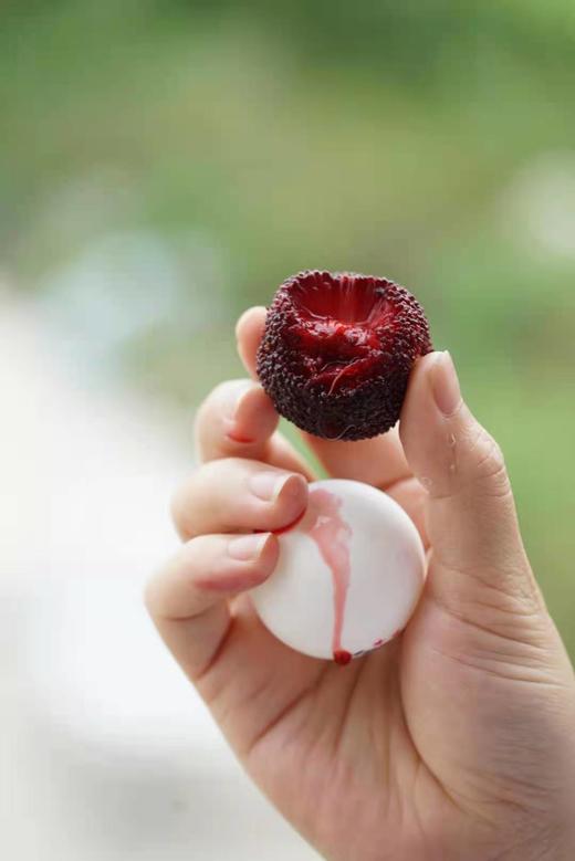 浮宫东魁杨梅精品大果当季新鲜水果现摘现发3斤装顺丰空运 商品图4