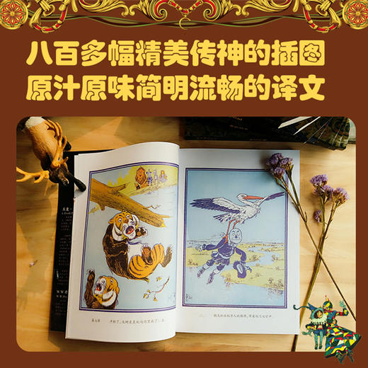 绿野仙踪全集（共14册） 商品图8