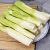 【生鲜预定】茭瓜 茭白（去壳） 商品缩略图0