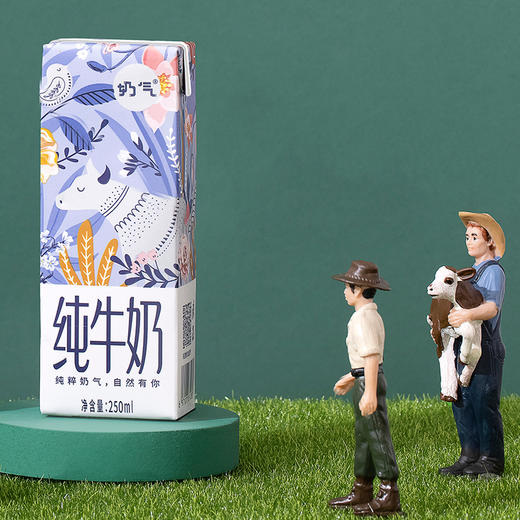 奶气纯牛奶250ml12盒整箱早餐牛奶