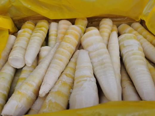 把春天留住 速冻春笋 -18度锁鲜 500g/袋*2袋 2斤装 江浙沪包邮 商品图1