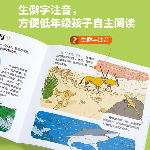 我的小问题（第6辑）（共10册） 商品图6