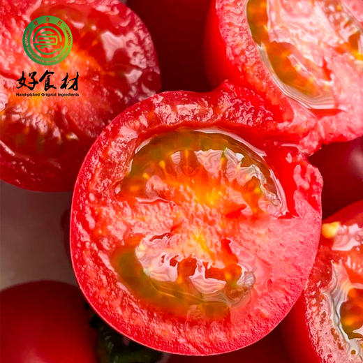 CY-山东圣女果 商品图3