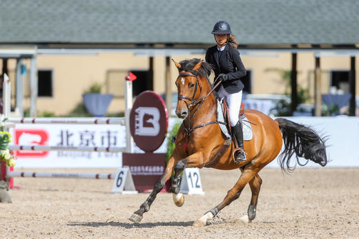 【体验课】6岁及以上 非会员  周二至周五体验 线下课 商品图0