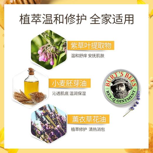 美国小蜜蜂Burt's Bees神奇紫草膏15g【香港直邮】 商品图1