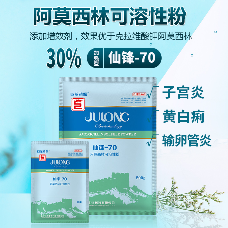 【仙锋70】巨龙动保仙锋-70阿莫西林可溶性粉加强型100g/500g