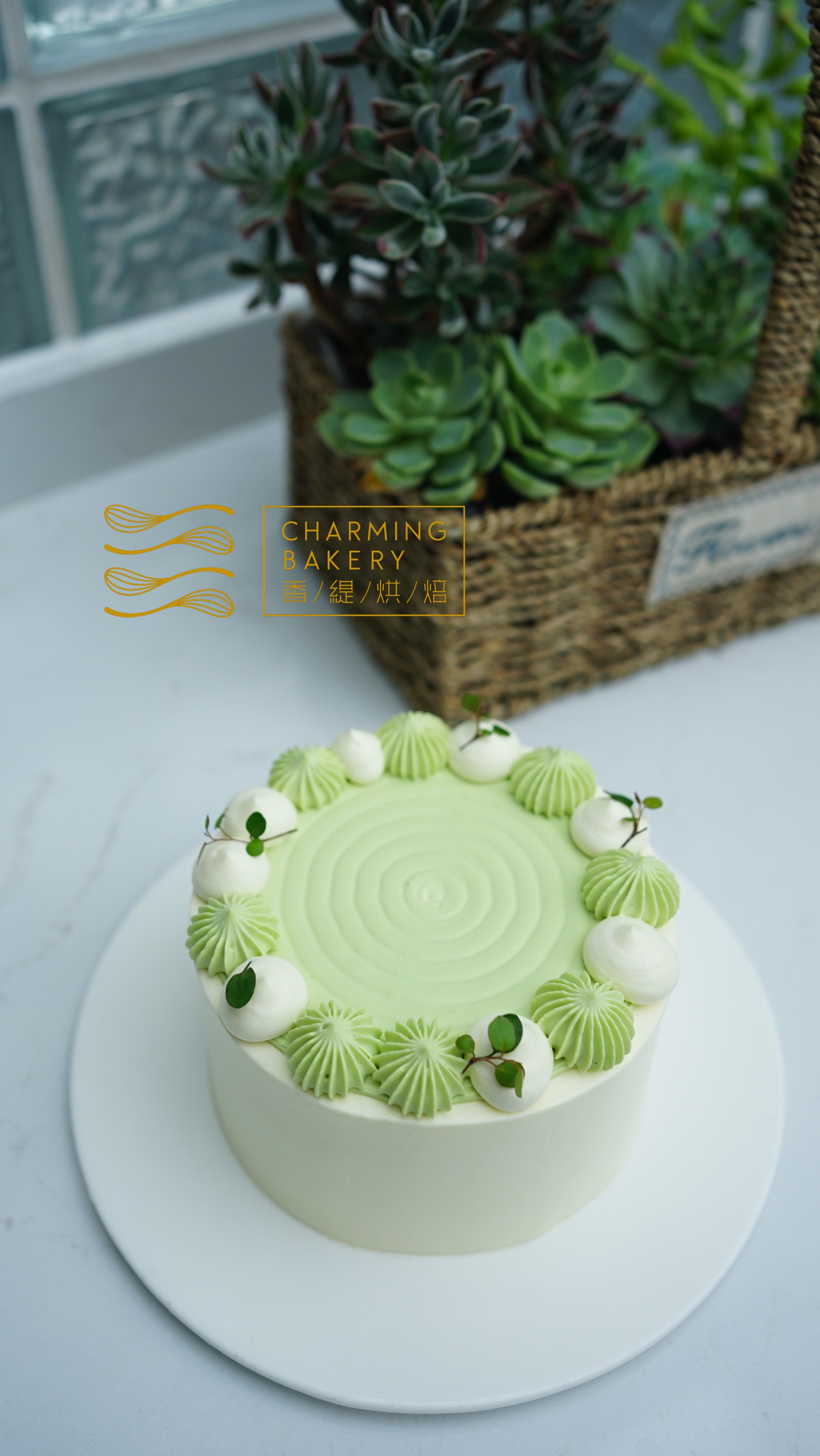 【会员特惠174.24元】斑斓椰子蛋糕