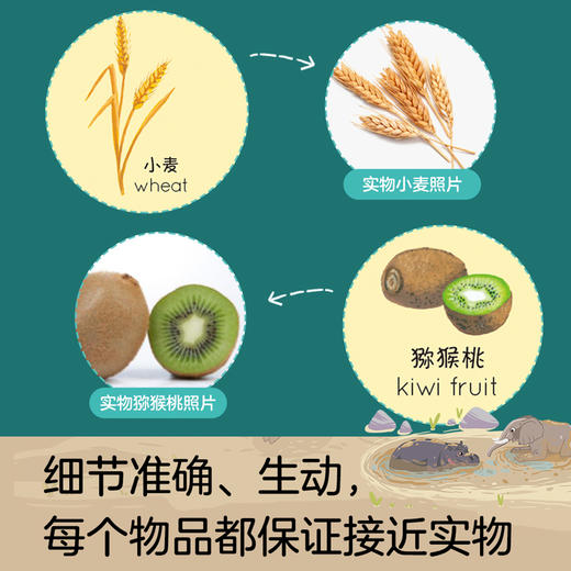 我的拉鲁斯双语认知小百科（共12册） 商品图5