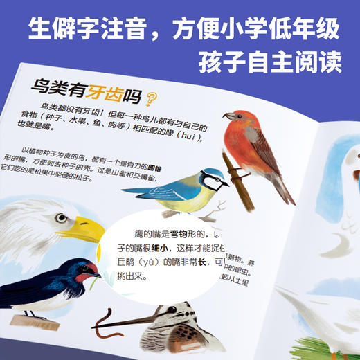 我的小问题50册礼盒装1-6辑 我们的身体儿童书籍科普绘本阅读启蒙亲子博物大百科全书十万个为什么4-6-8岁畅销书 亲亲科学图书馆 商品图7