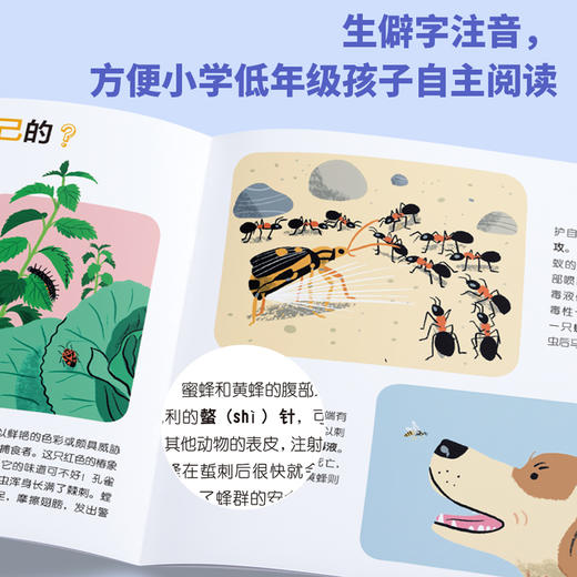 我的小问题（第5辑）（共10册） 商品图7