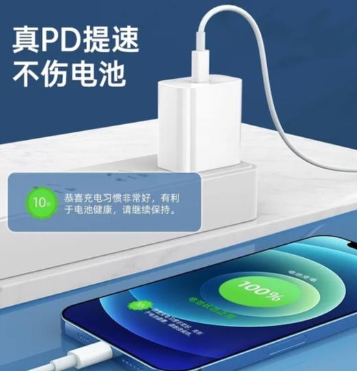 PD18W/20W充电头适用iPhone12充电器苹果快充头 快充数据线 商品图1