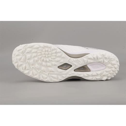 小李子专柜正品Asics/亚瑟士 DESTAQUE 2 TF足球鞋男1111A089-102 商品图1