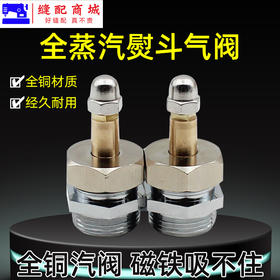 优质全铜 全蒸汽熨斗配件全铜汽阀开关总成工业烫斗阀门汽制大烫汽阀（气阀）