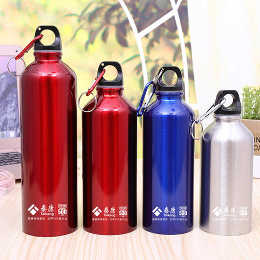 泰康定制 | 美式不锈钢运动水壶500ml（买一送一同款） 商品图0