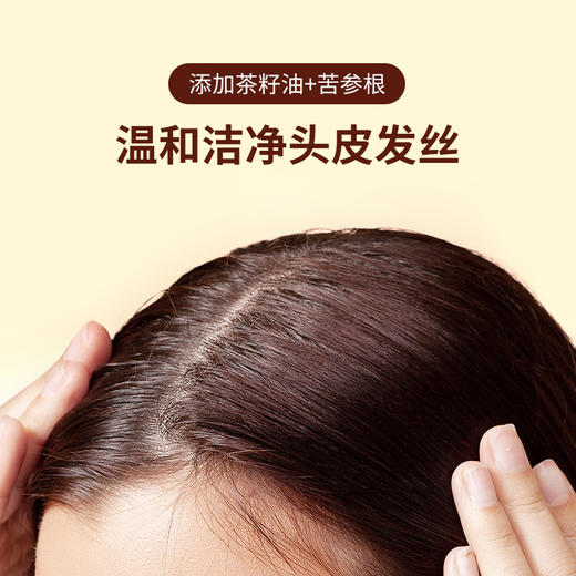 绿色溪谷柔炫丝滑去屑控油修护洗发水480ML-0513 国产/进口版本随机发 商品图3