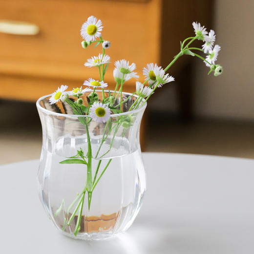 日本 河上智美 棱线 手握杯 片口 透明玻璃器 商品图4