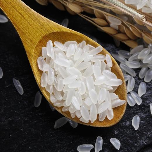 自然农法大米 10斤 商品图0