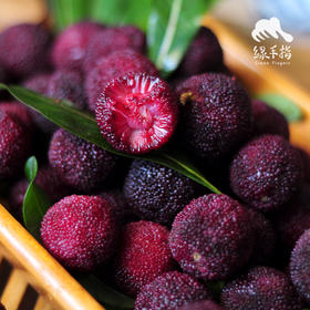 生态荸荠杨梅 | 合作生产*Eco-waxberry | Coproduction