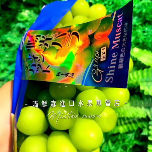 单串🛵香印青提/阳光玫瑰（特级一级） 商品图1