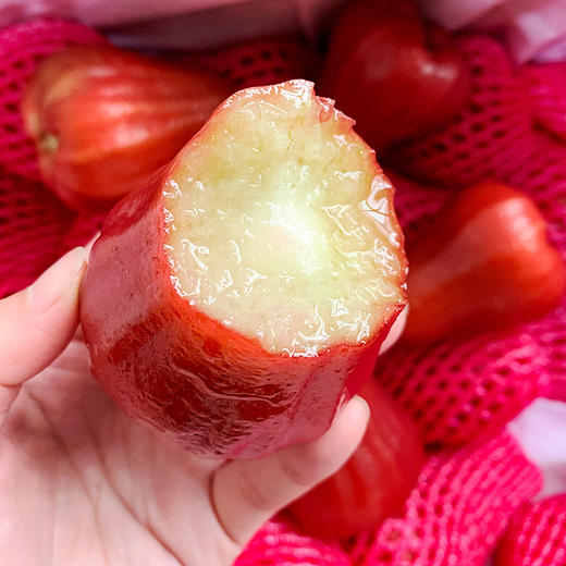 海南黑金刚莲雾 3斤 商品图0