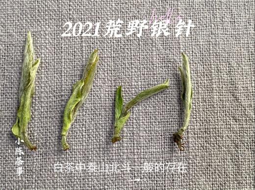 清、润、甘、香，2021荒野之花荒野银针（50克罐装） 商品图5