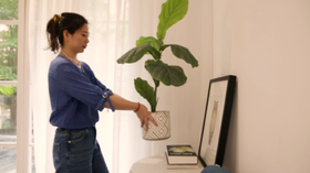 梦想改造家，做自己生活的主演【发现美好-1】