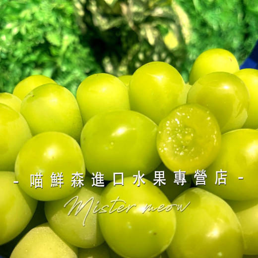 单串🛵香印青提/阳光玫瑰（特级一级） 商品图3