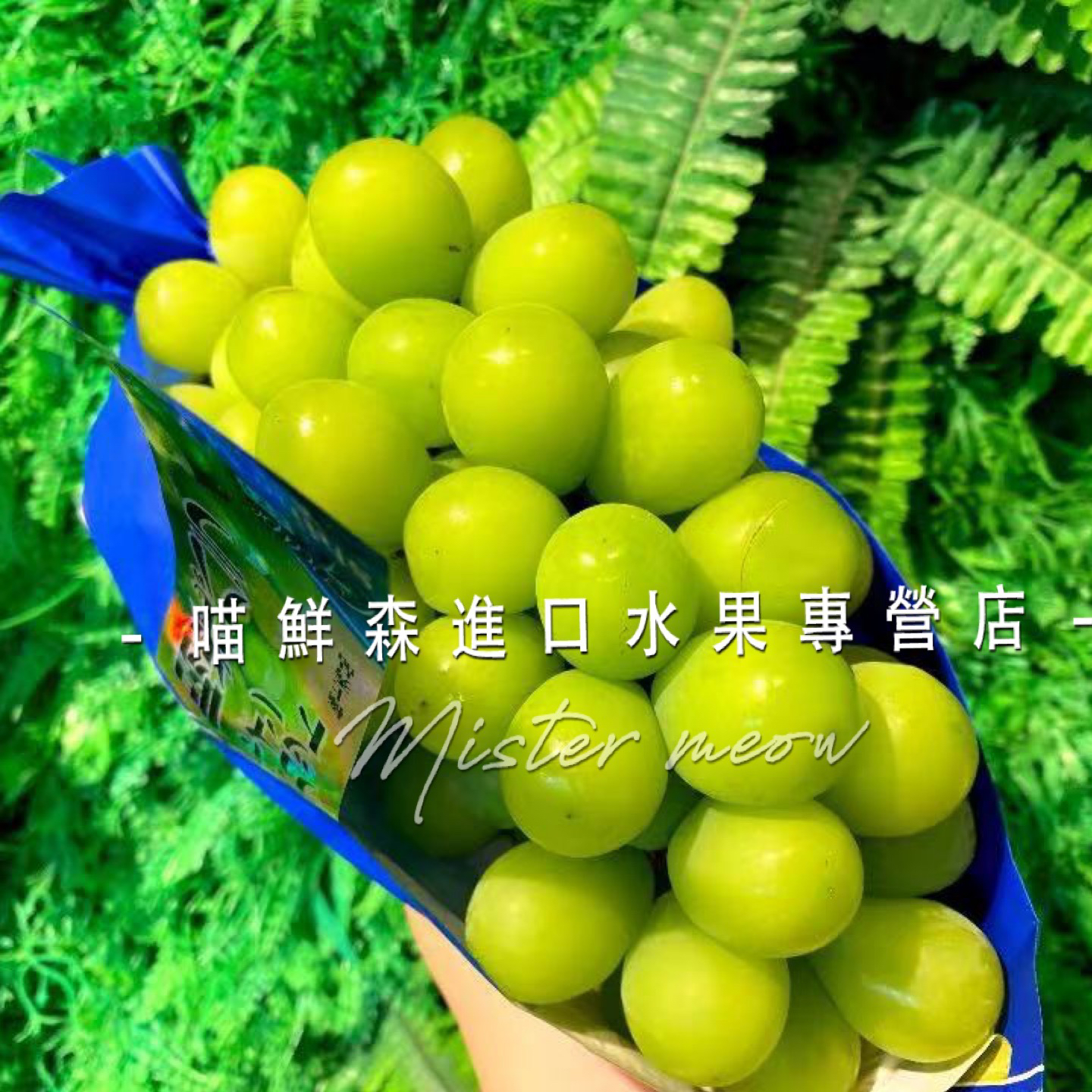 单串🛵香印青提/阳光玫瑰（特级一级）