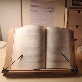 进口SYSMAX阅读架电脑架