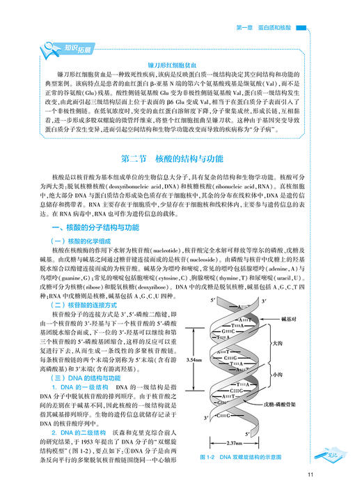 分子生物学检验技术 第2版 全国高等职业教育教材 供医学检验技术专业用 王志刚 主编 人民卫生出版社9787117313155 商品图4